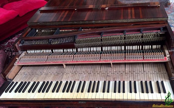 Hammerflügel Jean Baptiste Cluesman (Paris)